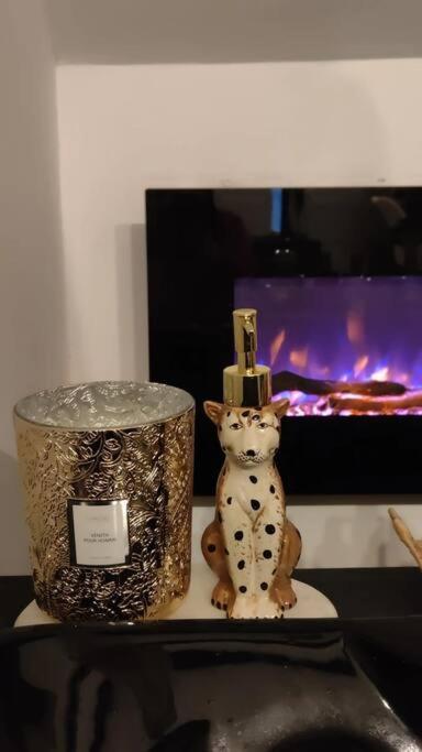 Logement Romantique Et Cosy Σαρλρουά Εξωτερικό φωτογραφία
