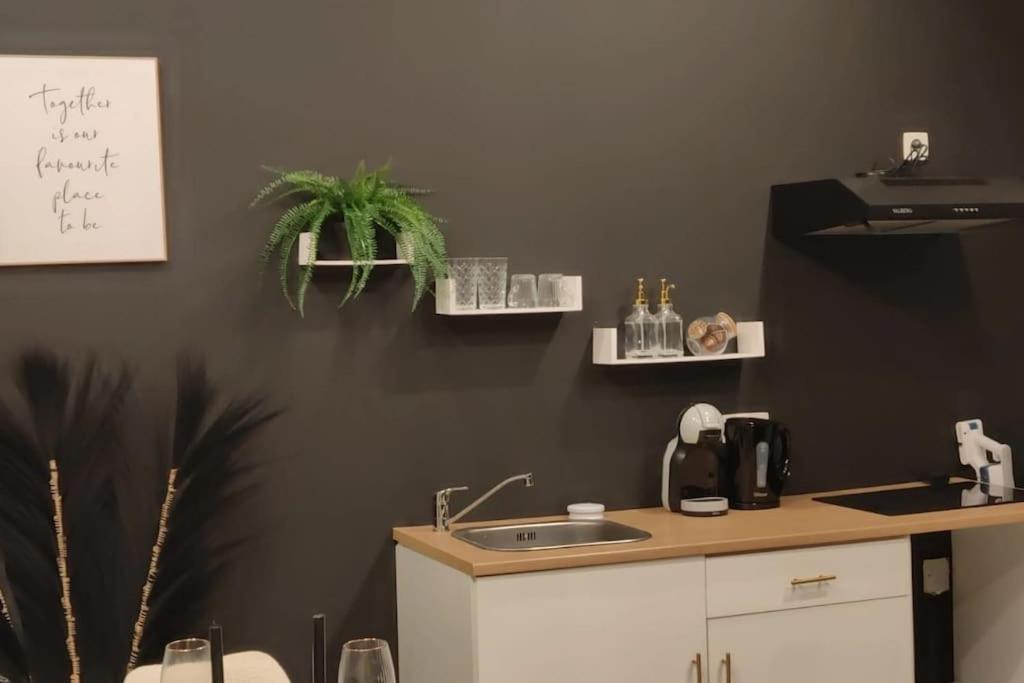 Logement Romantique Et Cosy Σαρλρουά Εξωτερικό φωτογραφία