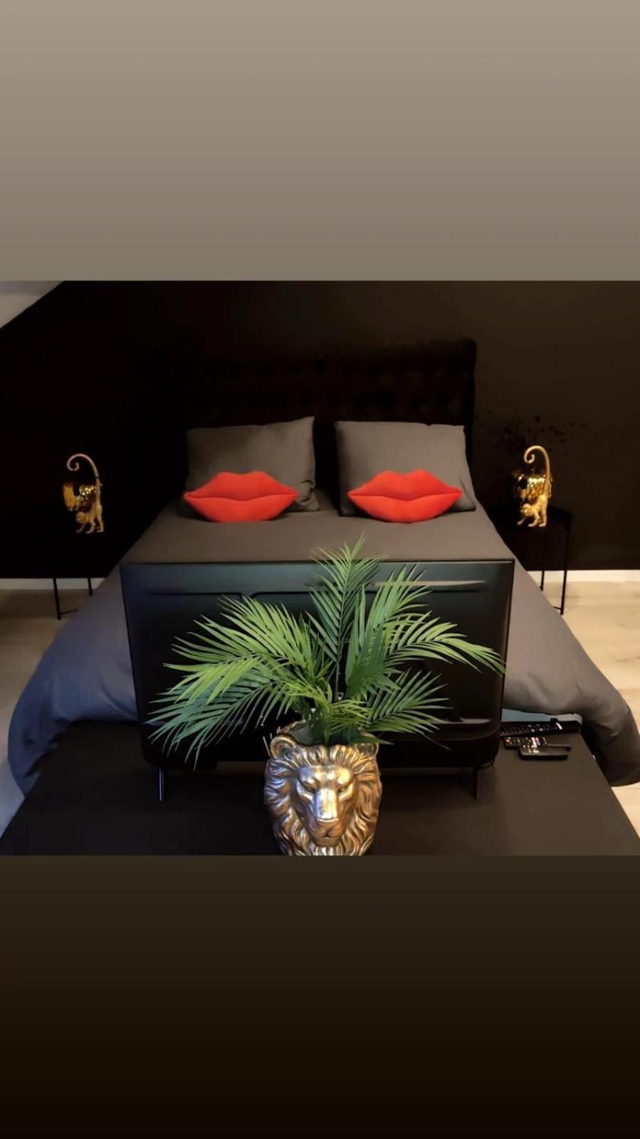 Logement Romantique Et Cosy Σαρλρουά Εξωτερικό φωτογραφία